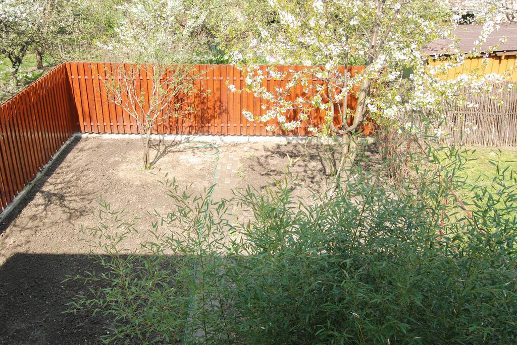 Apartment House טימישוארה מראה חיצוני תמונה